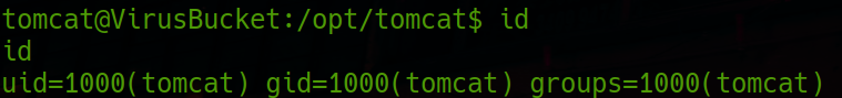 feline-id-tomcat